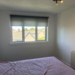 Img 0233