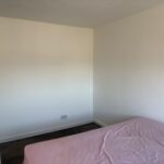 Img 0234